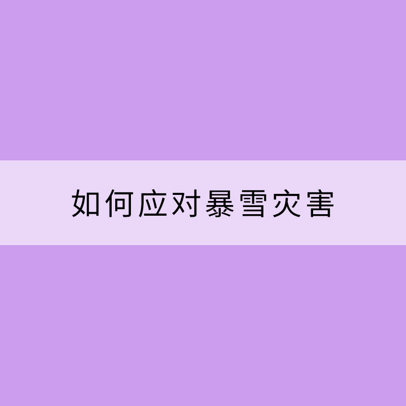 如何應(yīng)對暴雪災(zāi)害